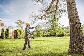 Best Emergency Tree Removal  in Greenback, TN